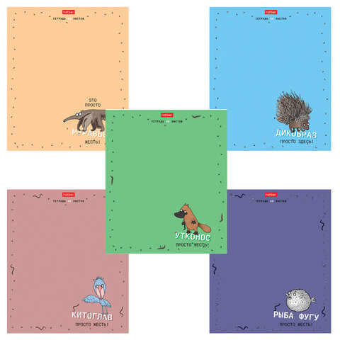 Тетрадь А5 48л. HATBER скоба, клетка, матовая ламинация, Необычные герои (микс в спай, 48Т5лтВ1 по низкой цене оптом 