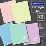 Тетрадь А5 80л. BRAUBERG скоба, клетка, ДИЗАЙН 3, Код_1С, 404411 по низкой цене оптом Краснодар, Москва, Уфа, Казань, Барнаул, Владивосток, Хабаровск, Сахалин, Красноярск, Екатеренбург, 