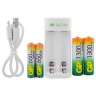 Зарядное устройство GP с аккумуляторами, AA 1300 mAh 2 шт. + AAA 650 mAh 2 шт., E211130/65-2CRB4, E21113065-2CRB4 по низкой цене оптом 