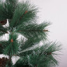 Ель новогодняя искусственная "Velvet Pinewood" 120 см, с инеем и шишками, ПВХ, ЗОЛОТАЯ СКАЗКА, 591702 по низкой цене оптом 