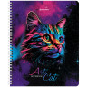 Тетради ДЭК А5 48 л. КОМПЛЕКТ 4 шт., BRAUBERG, гребень, клетка, TWIN лак, "Neon Cats", 404660 по низкой цене оптом Тетради ДЭК А5 48 л. КОМПЛЕКТ 4 шт., BRAUBERG, гребень, клетка, TWIN лак, "Neon Cats", 404660 по низкой цене оптом