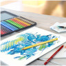 Карандаши цветные акварельные художественные FABER-CASTELL "Albrecht Durer", 36 цветов, металлическая коробка, 117536 по низкой цене оптом 