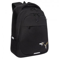 Рюкзак GRIZZLY школьный, анатомическая спинка, 2 отделения, для девочек, "COLIBRI", чёрный, 40х29х20 см, RD-540-2/4