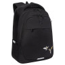 Рюкзак GRIZZLY школьный, анатомическая спинка, 2 отделения, для девочек, "COLIBRI", чёрный, 40х29х20 см, RD-540-2/4 по низкой цене оптом 