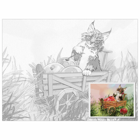 Холст на картоне с контуром BRAUBERG ART CLASSIC "КОТ", 30х40см, грунтованный, хлопок, 191549 по низкой цене оптом Краснодар, Москва, Уфа, Казань, Барнаул, Владивосток, Хабаровск, Сахалин, Красноярск, Екатеренбург, 