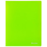Папка с металлическим скоросшивателем и внутренним карманом BRAUBERG "Neon", 16 мм, зеленая, до 100 листов, 0,7 мм, 227464 по низкой цене оптом Краснодар, Москва, Уфа, Казань, Барнаул, Владивосток, Хабаровск, Сахалин, Красноярск, Екатеренбург, 