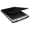 Сканер планшетный EPSON Perfection V19 (B11B231401), А4, 10,4 сек, 4800x4800 по низкой цене оптом 