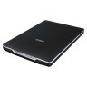 Сканер планшетный EPSON Perfection V19 (B11B231401), А4, 10,4 сек, 4800x4800 по низкой цене оптом 