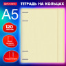 Тетрадь на кольцах А5 175х220мм, 120л, пластик, с резинкой и разделителями, BRAUBERG, Желтый, 404631 по низкой цене оптом 