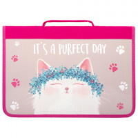 Папка для труда BRAUBERG А4 с ручкой, 1 отделение, органайзер, молния вокруг, "Purfect Day", 270342
