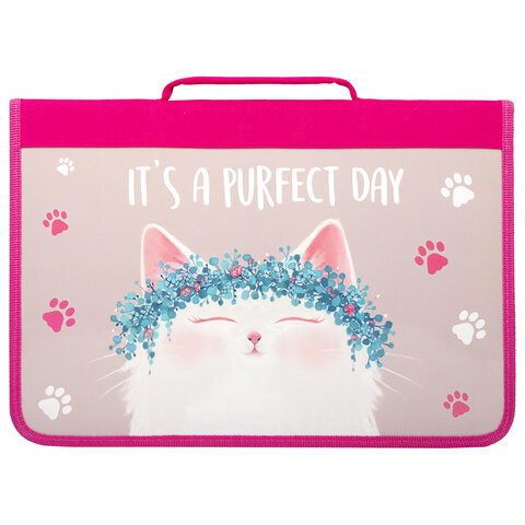 Папка для труда BRAUBERG А4 с ручкой, 1 отделение, органайзер, молния вокруг, "Purfect Day", 270342 по низкой цене оптом 