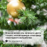 Ель новогодняя искусственная "Classic Green" 210 см, ПВХ, зеленая, ЗОЛОТАЯ СКАЗКА, 591306 по низкой цене оптом 