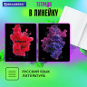 Тетради предметные, КОМПЛЕКТ 12 ПРЕДМЕТОВ, PIGMENT, 48л, глянцевая ламинация, BRAUBERG, 404834 по низкой цене оптом 