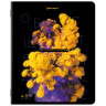 Тетради предметные, КОМПЛЕКТ 12 ПРЕДМЕТОВ, PIGMENT, 48л, глянцевая ламинация, BRAUBERG, 404834 по низкой цене оптом 