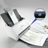 Сканер потоковый EPSON WorkForce DS-530 (B11B226401), А4, 35 стр./мин, 600x600, ДАПД, B11B261401 по низкой цене оптом 