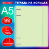 Тетрадь на кольцах А5 175х220мм, 120л, пластик, с резинкой и разделителями, BRAUBERG, Зеленый, 404632 по низкой цене оптом 