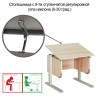 Стол-парта регулируемый "ДЭМИ" СУТ.28, 900х530х530-815 мм, серый/ясень (КОМПЛЕКТ) по низкой цене оптом 