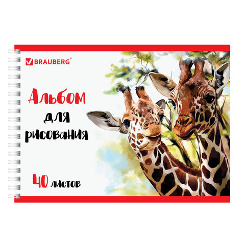 Альбом для рисования, А4, 40 л., гребень, обложка картон, BRAUBERG ЭКО, 205х290 мм, "Жирафы" (1 вид), 105104 по низкой цене оптом Краснодар, Москва, Уфа, Казань, Барнаул, Владивосток, Хабаровск, Сахалин, Красноярск, Екатеренбург, 