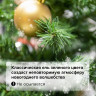 Ель новогодняя искусственная "Classic Green" 240 см, ПВХ, зеленая, ЗОЛОТАЯ СКАЗКА, 591307 по низкой цене оптом 