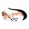 Фломастеры с наконечником-кистью CARIOCA (Италия) "Super Brush", 10 цветов, смываемые, 42937 по низкой цене оптом 