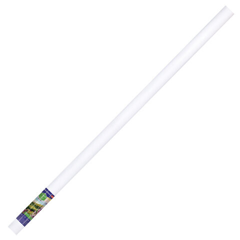 Холст в рулоне BRAUBERG ART CLASSIC, 1,6x10 м, грунт., 380 г/м2, 100% хлопок, среднее зерно, 191032 по низкой цене оптом 