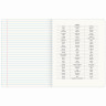 Тетрадь предметная VINTAGE 48л, SoftTouch, РУССКИЙ ЯЗЫК, линия, подсказ, BRAUBERG, 405157 по низкой цене оптом 