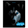 Тетрадь А5, 48 л., BRAUBERG, скоба, клетка, выборочный лак, "Wild eyes", 404343 по низкой цене оптом 