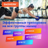 Ролик для пресса 16*28 см с ковриком, нагрузка до 150 кг, DASWERK, 680018 по низкой цене оптом Краснодар, Москва, Уфа, Казань, Барнаул, Владивосток, Хабаровск, Сахалин, Красноярск, Екатеренбург, 