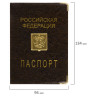 Обложка для паспорта, металлический шильд с гербом, ПВХ, ассорти, STAFF, 237579 по низкой цене оптом 