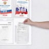 Доска-стенд "Информация" (48х80 см), 3 плоских кармана А4 + объемный карман А5, BRAUBERG, 291100 по низкой цене оптом 