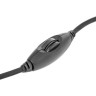 Веб-камера DEFENDER C-110, 0,3 Мп, микрофон, USB 2.0/1.1+3.5 мм jack, подсветка, регулируемое крепление, черная, 63110 по низкой цене оптом Краснодар, Москва, Уфа, Казань, Барнаул, Владивосток, Хабаровск, Сахалин, Красноярск, Екатеренбург, 