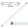 Лампа люминесцентная PHILIPS TL-D 36W/33-640, 36 Вт, цоколь G13, в виде трубки 120 см по низкой цене оптом Краснодар, Москва, Уфа, Казань, Барнаул, Владивосток, Хабаровск, Сахалин, Красноярск, Екатеренбург, 