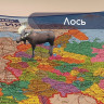 Карта России политико-административная 101х70 см, 1:8,5М, интерактивная, в тубусе, BRAUBERG, 112396 по низкой цене оптом 