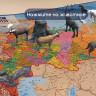 Карта России политико-административная 101х70 см, 1:8,5М, интерактивная, в тубусе, BRAUBERG, 112396 по низкой цене оптом 