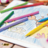Мелки пластиковые BIC "Plastidecor", 12 цветов, ультрапрочные, круглые, картонная упаковка, подвес, 945764 по низкой цене оптом Краснодар, Москва, Уфа, Казань, Барнаул, Владивосток, Хабаровск, Сахалин, Красноярск, Екатеренбург, 