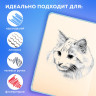 Скетчбук, слоновая кость 140г/м 130х210мм, 80л, софт-тач, резинка, BRAUBERG ART_CL, 3, 116469 по низкой цене оптом 
