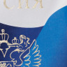 Обложка для паспорта, ПВХ, триколор, STAFF, 237581 по низкой цене оптом 