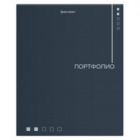 Папка-портфолио универсальная, 4 кольца, 20 файлов 10 вкладышей, 7БЦ матовая, BRAUBERG, 117553