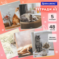 Тетради ДЭК А5 48 л. КОМПЛЕКТ 5 шт. BRAUBERG, клетка, матовая ламинация, "Cats", 404673