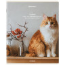 Тетради ДЭК А5 48 л. КОМПЛЕКТ 5 шт. BRAUBERG, клетка, матовая ламинация, "Cats", 404673 по низкой цене оптом Тетради ДЭК А5 48 л. КОМПЛЕКТ 5 шт. BRAUBERG, клетка, матовая ламинация, "Cats", 404673 по низкой цене оптом