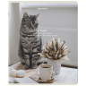 Тетради ДЭК А5 48 л. КОМПЛЕКТ 5 шт. BRAUBERG, клетка, матовая ламинация, "Cats", 404673 по низкой цене оптом Тетради ДЭК А5 48 л. КОМПЛЕКТ 5 шт. BRAUBERG, клетка, матовая ламинация, "Cats", 404673 по низкой цене оптом