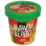 Набор для выращивания растений ВЫРАСТИ ДЕРЕВО! "Хурма виргинская" (банка, грунт, семена), zk-085 по низкой цене оптом 