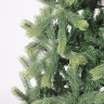 Ель новогодняя искусственная "Christmas Beauty" 180 см, литой ПЭТ+ПВХ, зеленая, ЗОЛОТАЯ СКАЗКА, 591313 по низкой цене оптом 