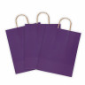 Крафт пакет бумажный Dark violet 26х15х35см с кручеными ручками, 80 гр/м2, моноцвет,, 112405 по низкой цене оптом Краснодар, Москва, Уфа, Казань, Барнаул, Владивосток, Хабаровск, Сахалин, Красноярск, Екатеренбург, 