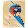 Тетрадь А5, 80 л., HATBER, скоба, клетка, выборочный лак, "Birds" (5 видов), 80Т5вмВ1 по низкой цене оптом 