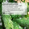 Ель новогодняя искусственная "Christmas Beauty" 210 см, литой ПЭТ+ПВХ, зеленая, ЗОЛОТАЯ СКАЗКА, 591314 по низкой цене оптом 