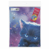 Мешок для обуви BRAUBERG PREMIUM, карман, подкладка, светоотражайка, 43х33 см, Anime cat, 272421 по низкой цене оптом 