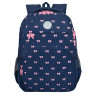 Рюкзак GRIZZLY школьный, анатом. спинка, 2 отделения, д/дев., PINK BOWS, 39х30х20 см, RG-568-2/3 по низкой цене оптом 