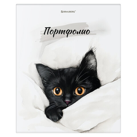Папка-портфолио универсальная, 4 кольца, 20 файлов 10 вкладышей, 7БЦ матовая, BRAUBERG, 117557 по низкой цене оптом 