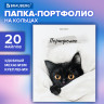 Папка-портфолио универсальная, 4 кольца, 20 файлов 10 вкладышей, 7БЦ матовая, BRAUBERG, 117557 по низкой цене оптом 